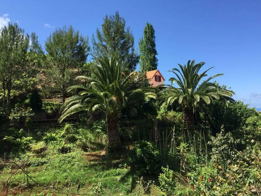 Casa D'Olivia Villa Porto Da Cruz